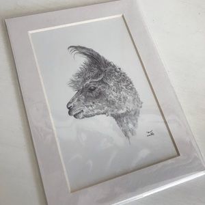 A custom sketch of a llama from Llama Art Show.